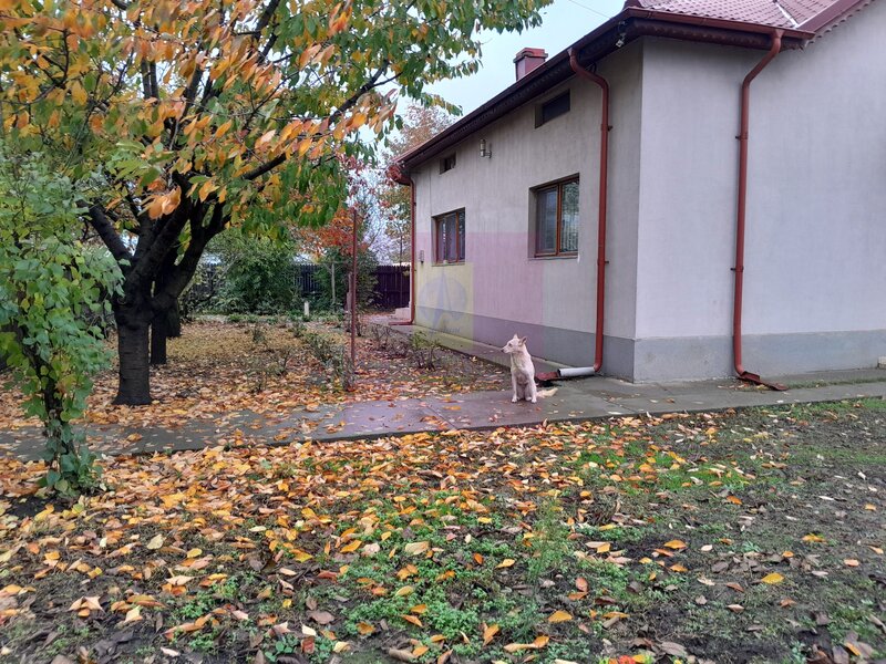 ILFOV - SE VINDE CASA IN ISLAZ / COM. BRANESTI